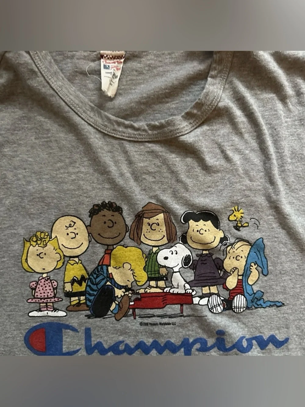Champion x Todd Snyder Peanuts Snoopy Gray Crewneck T-shirt Size Large - Picture 3 of 5